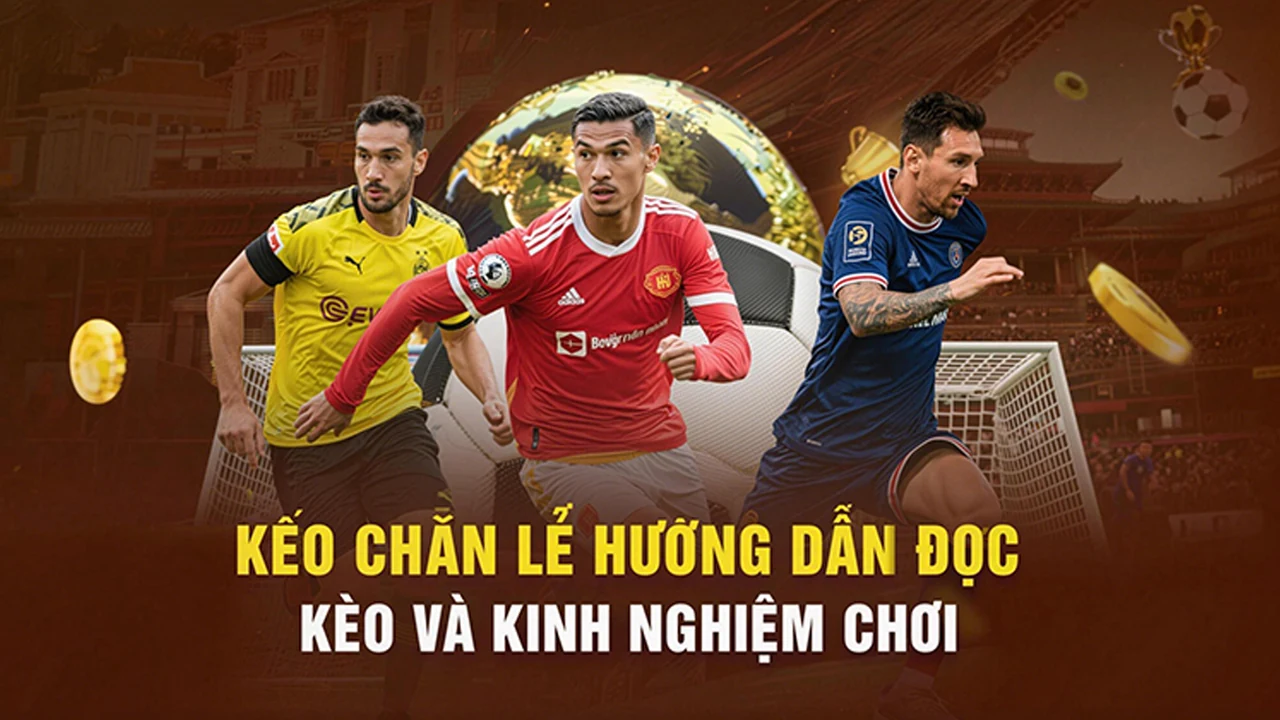 Dữ liệu Thể thao cùng ZN88: 7 lỗi thường gặp và cách xử lý